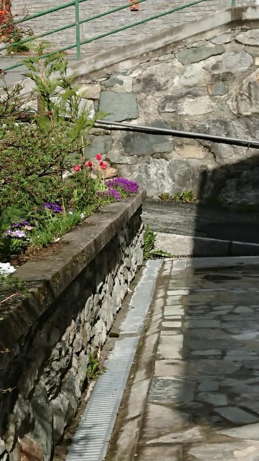 B&B Maison Odille Valtournenche Exterior photo